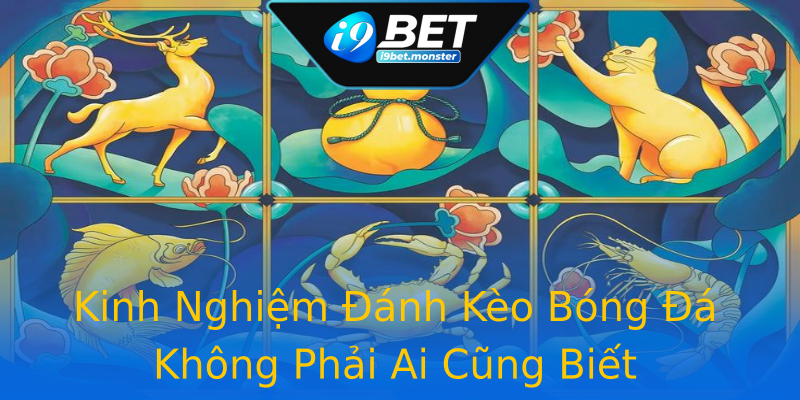 Kinh Nghiệm Đánh Kèo Bóng Đá Không Phải Ai Cũng Biết